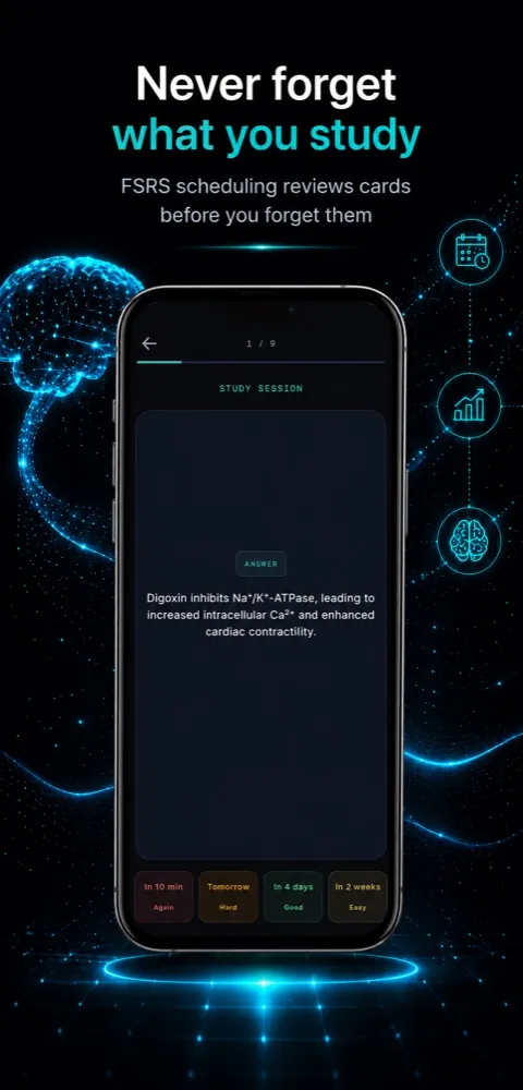 MedBlitz study session: answer